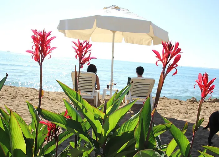 Kuba فندق سيدي